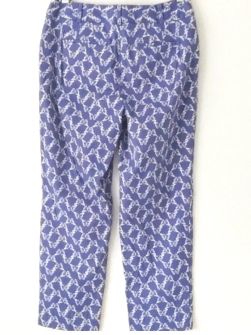 Talbots Butterfly Pants in Blue 2